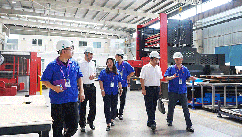 The Development and Reform Commission of Linyi City Shandong Province visited Anysort for investigation and inspection