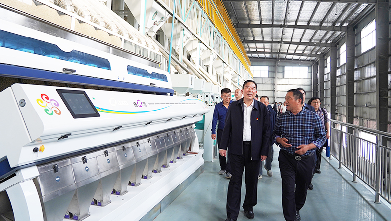A Special Investigation by NFSRA Anhui Branch on Grain Saving and Loss Reduction: Walk into an Intelligent Production  Line Adopting Jiexun Sorting Technology